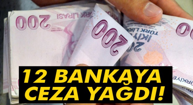 12 bankaya 1.1 milyar TL kartel faizi cezası