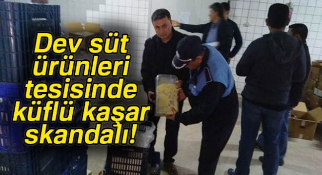 Dev süt ürünleri tesisinde küflü kaşar skandalı