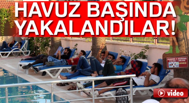 Havuz başında yasadışı göçmen operasyonu