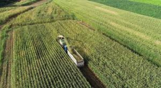Kırsal Kalkınmaya 375,6 Milyon Liralık Hibe Desteği