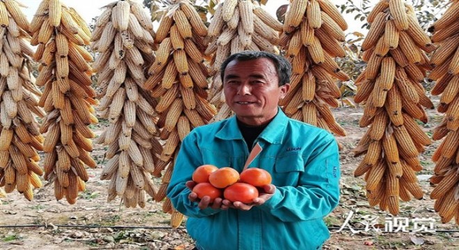 Xi: Çin’de yoksullukla mücadele hedefine zamanında ulaşıldı