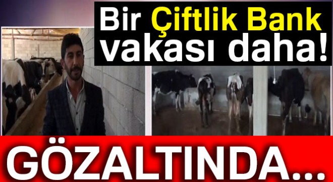 Yeni bir Çiftlik Bank vakası daha!