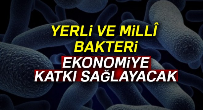 Yerli ve millî bakteri ekonomiye katkı sağlayacak