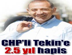 Tekin’e 2.5 yıl hapis