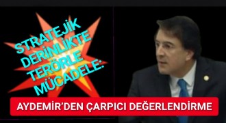 Aydemir’den çarpıcı terör değerlendirmesi