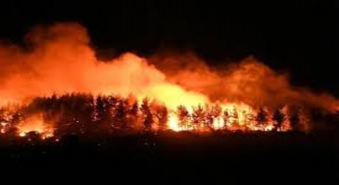 Çanakkale’de İki Noktadaki Yangınların İlerleyişi Durduruldu