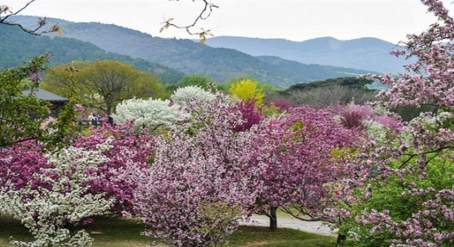 Çin Ulusal Botanik Parkı bugün açıldı